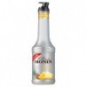 Le Fruit de Monin Ananas 1L