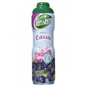 Teisseire Sirop Cassis 60cl (lot de 4)