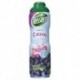 Teisseire Sirop Cassis 60cl (lot de 5)