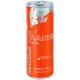 Red Bull Orange Edition 25cl (pack de 12)