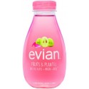 Evian Raisin et Rose 37cl (pack de 12)