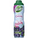 Teisseire Sirop Cassis 60cl (lot de 3)