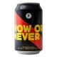 Brussels Beer Project NOW or NEVER 33CL CAN
