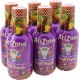 Arizona Fruit Punch 50cl (pack de 6)