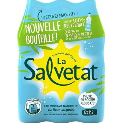 Salvetat Eau gazeuse 6 x 1,15L