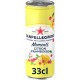 San Pellegrino Momenti Citron & Framboise 33cl (pack de 6)