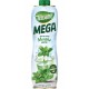 Teisseire MEGA MENTHE 1,3L