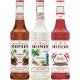 Assortiment Monin Épices (pack de 3)