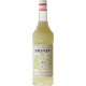 Monin Anis 1L (lot de 2 bouteilles)