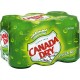 Canada Dry Ginger Ale 33cl (pack de 6)