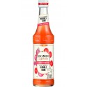 Monin Sirop Bubble Gum Gourmand 33cl