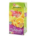 Jus multifruits Brique ABC 2L