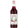 Monin Grenadine PET 1L
