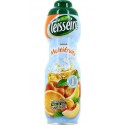 Teisseire Sirop Multifruits 75cl (lot de 4)