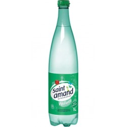 Saint Amand Eau minérale naturelle St Amand Gazeuse 1L