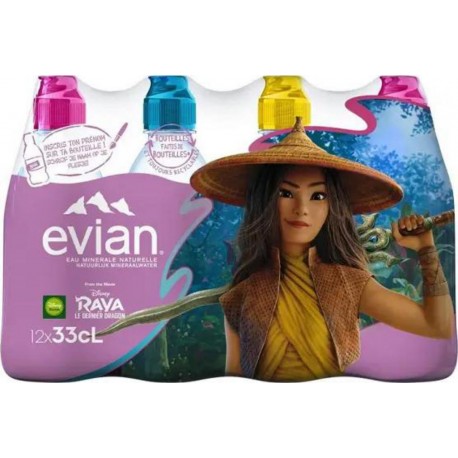 EVIAN EAU MINÉRALE NATURELLE 33cl (pack de 12)