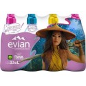 EVIAN EAU MINÉRALE NATURELLE 33cl (pack de 12)
